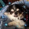 rubysnowflake3